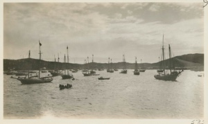Image: A few of the Newfoundland fishing schooners